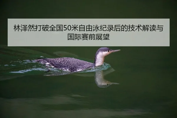 林泽然打破全国50米自由泳纪录后的技术解读与国际赛前展望